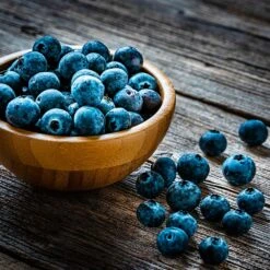 Aurora Blueberry Bush -GreenNest Store Aurora Blueberry 4