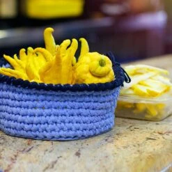 Buddha's Hand Citron Tree -GreenNest Store BUddhas Hand Citrus 6 FGT 8e440ac0 ef1a 452e 8576 5c1e7bf4eb5a