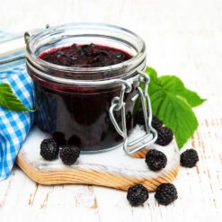 Big Daddy Blackberry Bush -GreenNest Store Big Daddy Blackberry 3