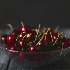 Black Tartarian Cherry Tree -GreenNest Store Black Tartarian Cherry Tree 2 FGT