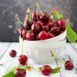 Brooks Cherry Tree -GreenNest Store Brooks Cherry Tree 5 FGT