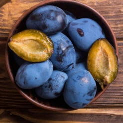 Brooks Plum Tree 9 Brooks Plum Tree -GreenNest Store Brooks Plum 2