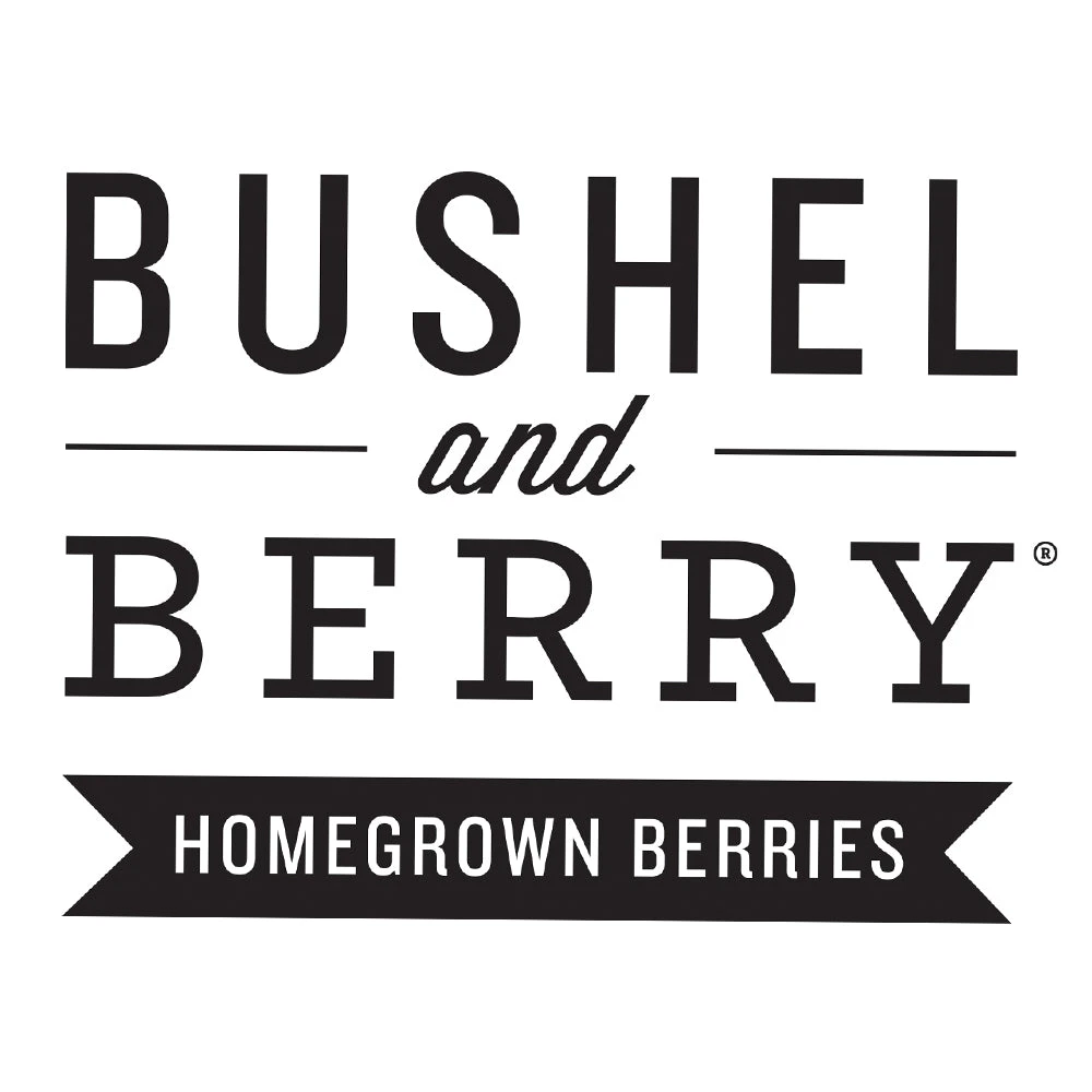 Bushel And Berry® Peach Sorbet™ Blueberry Bush 7 Bushel And Berry® Peach Sorbet™ Blueberry Bush - Image 7