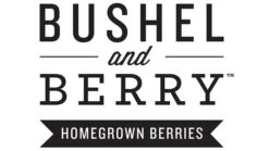 Bushel And Berry® Blueberry Glaze™ Blueberry Bush 6 Bushel And Berry® Blueberry Glaze™ Blueberry Bush -GreenNest Store BushelandBerry Logo web