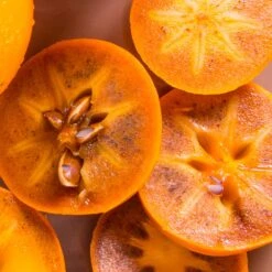 Chocolate Persimmon Tree 5 Chocolate Persimmon Tree -GreenNest Store CHocolate Persimmon 2