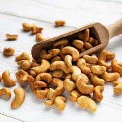 Cashew Tree -GreenNest Store Cashew Nut Tree 5