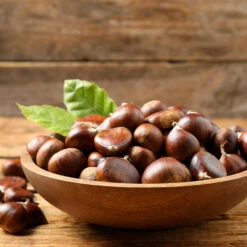 Chinese Chestnut Tree -GreenNest Store Chinese Chestnut 3 FGT