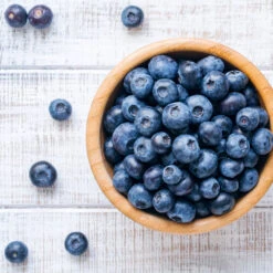 Climax Blueberry - USDA Organic -GreenNest Store Climax Blueberry 4 6dff9fe5 d11c 4867 ac6f bf49cd37acb5