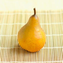 Comice Pear Tree 8 Comice Pear Tree -GreenNest Store Comice Pear 2 FGT bed8e3b3 6b31 43c6 9eb7 82aa992926bb