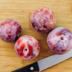 Dapple Dandy Pluot Tree -GreenNest Store Dapple Dandy 2