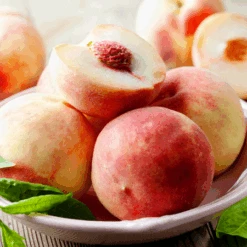 Early White Giant Peach Tree -GreenNest Store Early White Giant Peach Tree 450 D1