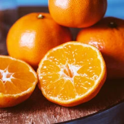 EasyPeel Clementine Tree -GreenNest Store Easy Peel Clementine 4 FGT