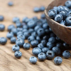 Emerald Blueberry Bush -GreenNest Store Emerald Blueberries 1