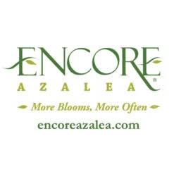 Autumn Belle® Encore® Azalea Shrub -GreenNest Store Encore Logo 1000x1000 f5ab977c d52a 42c7 bcc7 eb2c9ea0b488