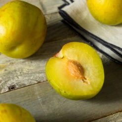 Flavor Queen Pluot® -GreenNest Store Flavor Queen Pluot 2