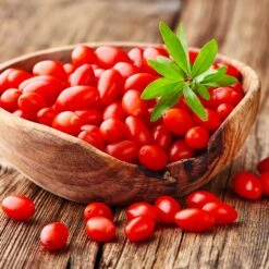 Goji Berry 8 Goji Berry -GreenNest Store Goji Berry 4