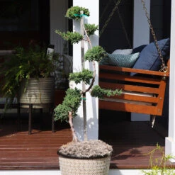 Front Page -GreenNest Store Green Mound JUniper 1