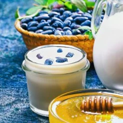 Indigo Gem Haskap (Honeyberry) -GreenNest Store Indigo GEm Haskap 1