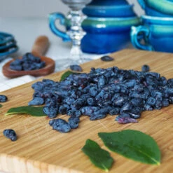 Indigo Treat Haskap (Honeyberry) -GreenNest Store Indigo Treat Hascap 2 BB