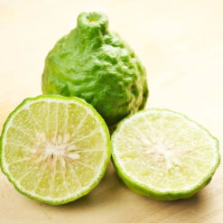 Kaffer 'Kieffer' Lime Tree -GreenNest Store Kaffir Lime 7 FGT