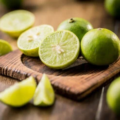 Key Lime Tree -GreenNest Store Key Lime Tree 5 FGT