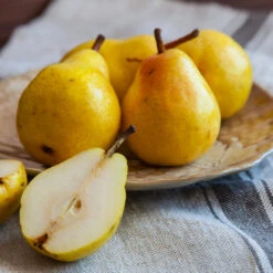 Kieffer Pear Tree -GreenNest Store Kieffer pear 1 FGT