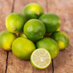 Limequat Citrus Tree -GreenNest Store Limequat 4 FGT