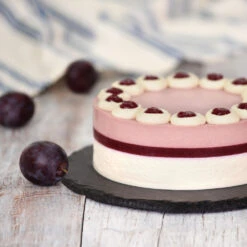 Methley Plum Tree -GreenNest Store Methley Plum 5 d1cf4da0 c7c8 4a54 8dce 9916c07f2fa6