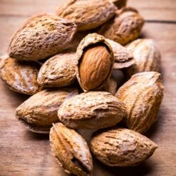 Nonpareil Almond Tree -GreenNest Store Nonpareil Almonds 3