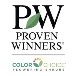 Fruit Punch® ‘Maraschino’ Dianthus -GreenNest Store PW Logo CC 1000x1000 cc8aeffe 0d24 4712 8a44 2d61b17529ba