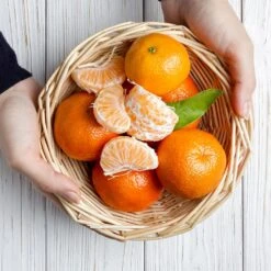 Page Mandarin Tree -GreenNest Store Page Mandarin Tree 2 FGT