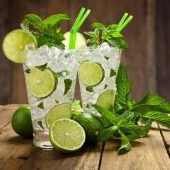 Persian 'Bearss' Lime Tree - USDA Organic 10 Persian 'Bearss' Lime Tree - USDA Organic -GreenNest Store Persian Lime Tree 4 FGT 3e2376b1 dd45 4777 a1e5 8c0e252ea773