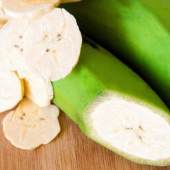 Puerto Rican Plantain Banana Tree 10 Puerto Rican Plantain Banana Tree -GreenNest Store Puerto Rican Plantain Banana Tree 3