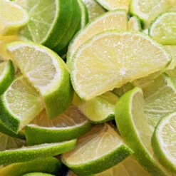 Persian 'Bearss' Lime Bush -GreenNest Store Pursian Lime Bush 1 FGT 8e948345 4f0b 4e96 a96f a17b7b31b7ab