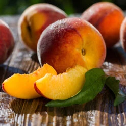 Red Baron Peach Tree -GreenNest Store Red Baron Peach 4