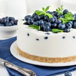 Sunshine Blue Blueberry Bush 7 Sunshine Blue Blueberry Bush -GreenNest Store SUnshine BLue Blueberry 4