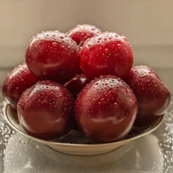 Satsuma Plum Tree -GreenNest Store Satsuma Plum 3