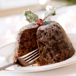 Satsuma Plum Tree -GreenNest Store Satsuma Plum 4