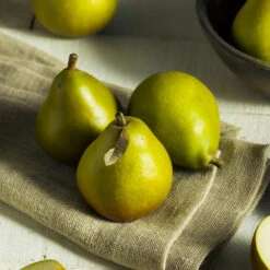 Seckel Pear Tree 8 Seckel Pear Tree -GreenNest Store Seckel Pear 5