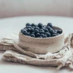 Sharpblue Blueberry Bush -GreenNest Store Sharpblue Blueberry 1