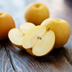 Shinseiki Asian Pear -GreenNest Store Shinseiki Asian Pear 5 FGT