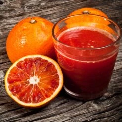 Smith Red Orange -GreenNest Store Smith Red Orange 3 FGT