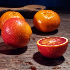 Smith Red Orange -GreenNest Store Smith Red Orange 5 FGT