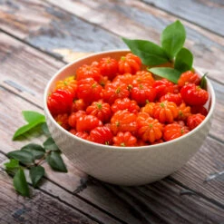 Star Cherry Tree (Pitanga) -GreenNest Store Star Cherry 3 FGT