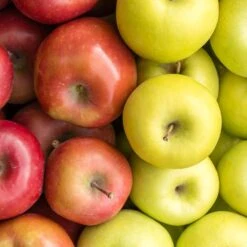 2-in-1 Apple Surprise Tree -GreenNest Store Surprise Apple 1 5277609f 2a1f 491f 804c c001e47d74ac