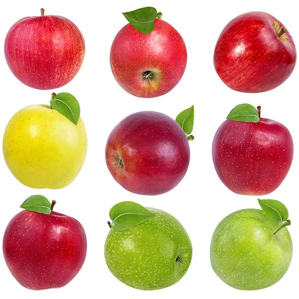 3-in-1 Apple Surprise Tree 1 3-in-1 Apple Surprise Tree