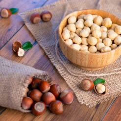 Theta Filbert Hazelnut -GreenNest Store THeta FIlbert Hazelnut 4