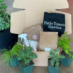 Patio Tomato Garden 9 Patio Tomato Garden -GreenNest Store Tomato Garden kit 2