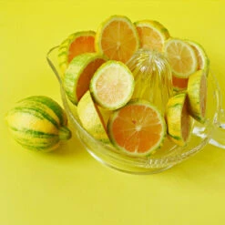 Pink Variegated Eureka Lemon Tree 10 Pink Variegated Eureka Lemon Tree -GreenNest Store Variegated Pink Eureka 3