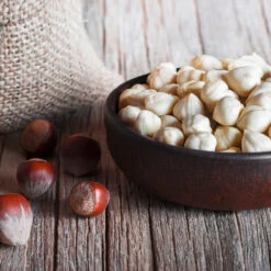 York Filbert Hazelnut -GreenNest Store York Hazelnut 5